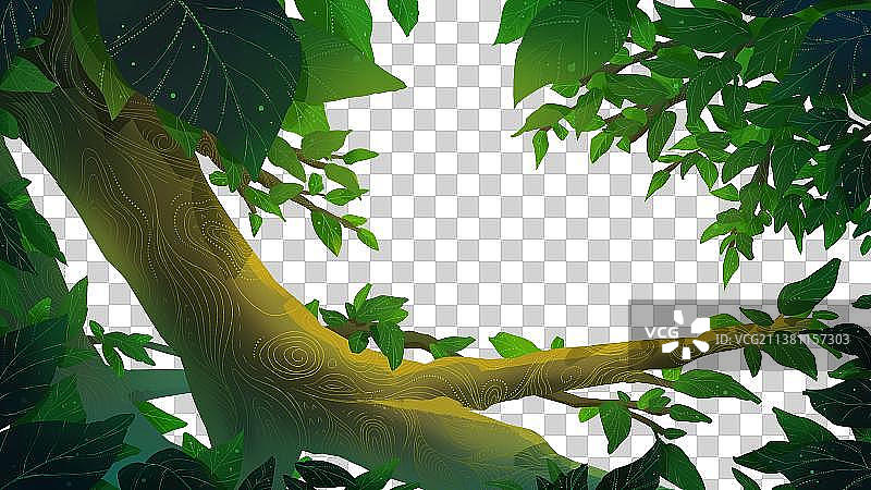 森林树叶图片素材