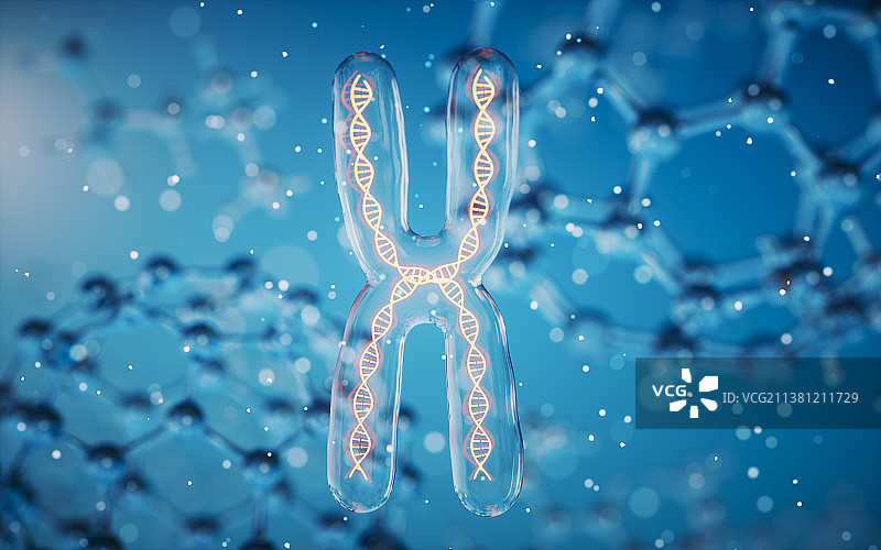 染色体与分子结构3D渲染图片素材