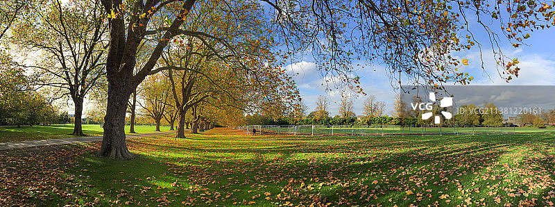 英国剑桥大学耶稣绿地（Jesus Green）秋日美景图片素材