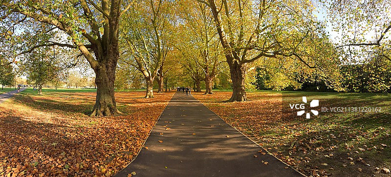 英国剑桥大学耶稣绿地（Jesus Green）秋日美景图片素材
