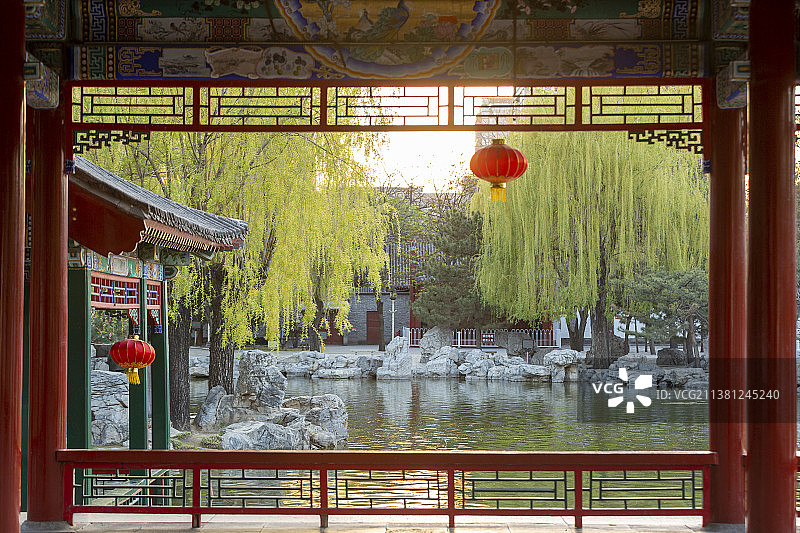 北京园林的春天图片素材