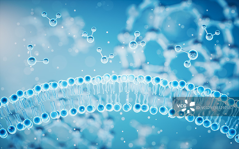 磷脂双分子细胞膜3D渲染图片素材