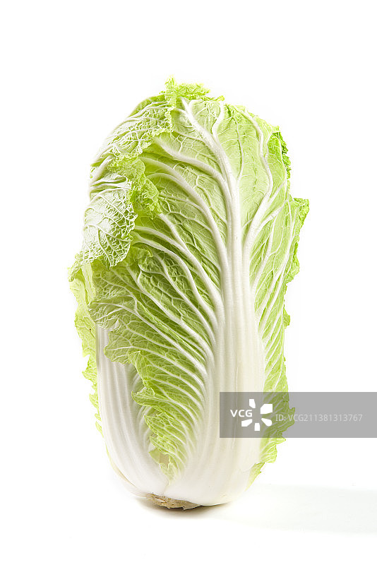 白底上的一颗大白菜图片素材