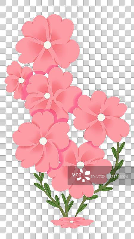 粉红色花朵的特写镜头图片素材