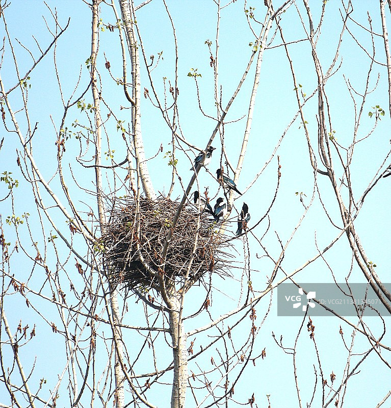 等妈妈图片素材
