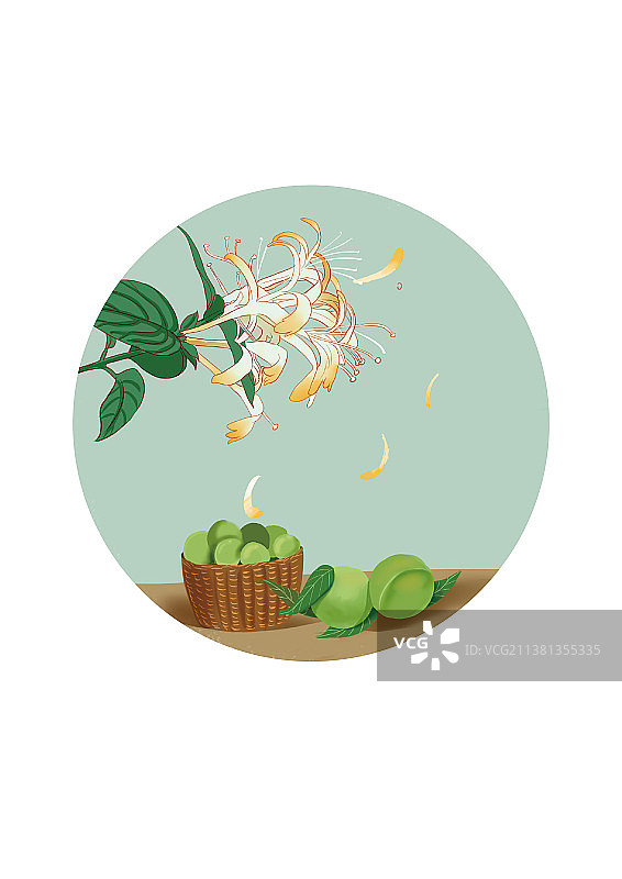 24节气插图图片素材