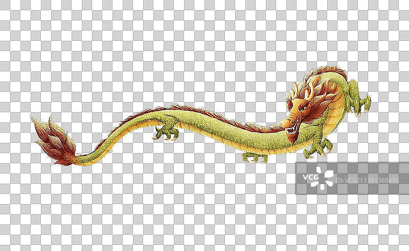 中国龙插画图片素材