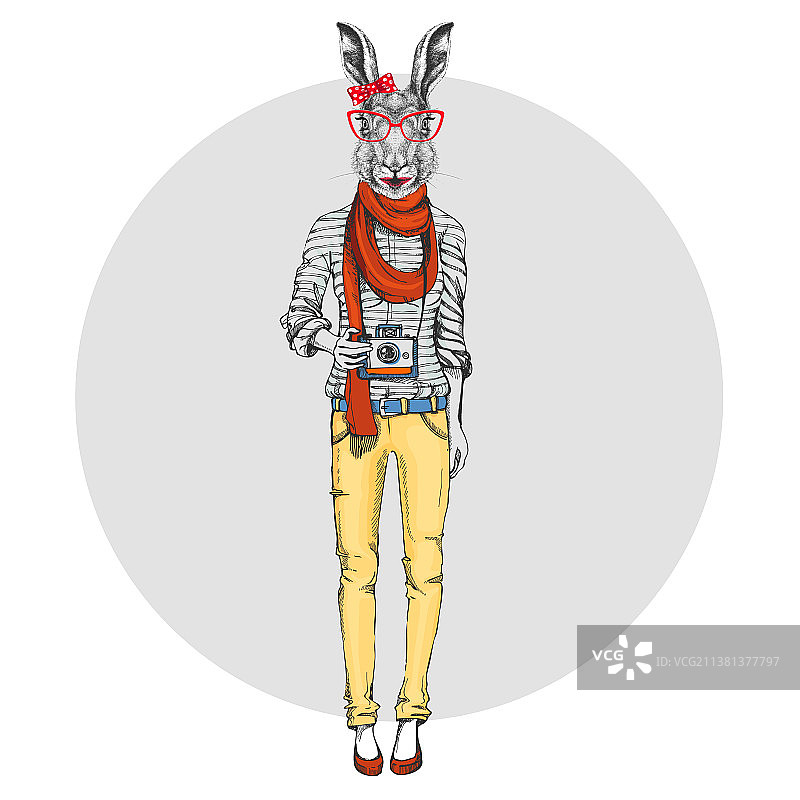 复古潮流动物兔子与照相机图片素材