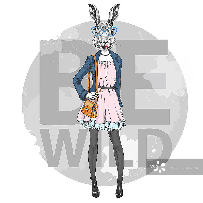 复古时尚风动物兔子模特图片素材