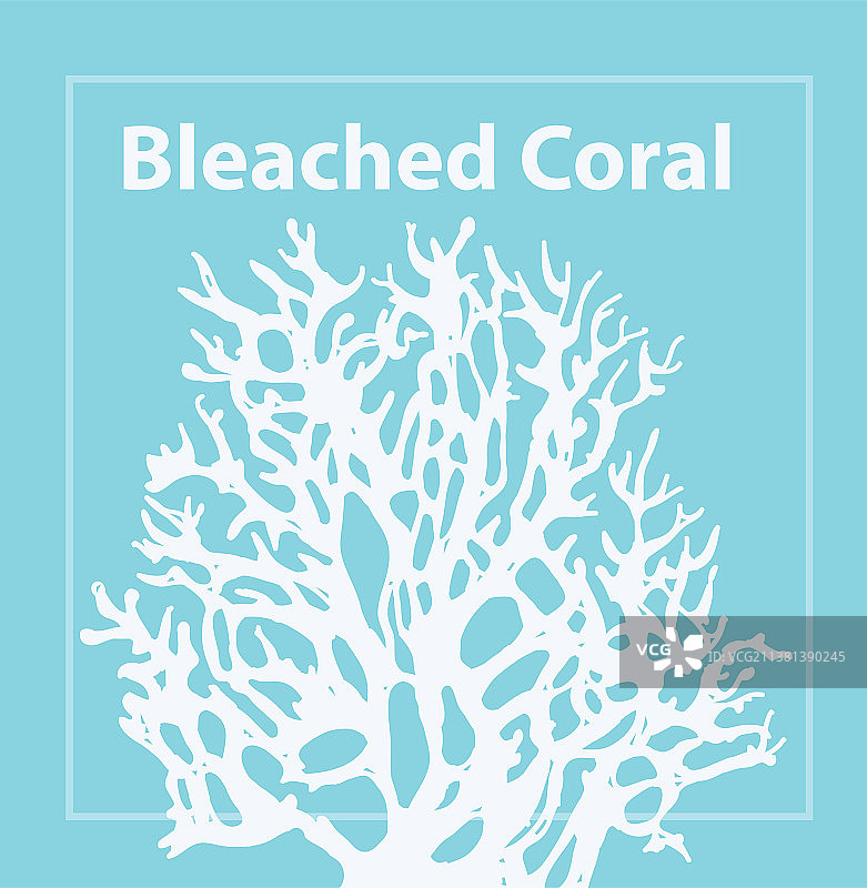 漂白的珊瑚色2020年流行色图片素材