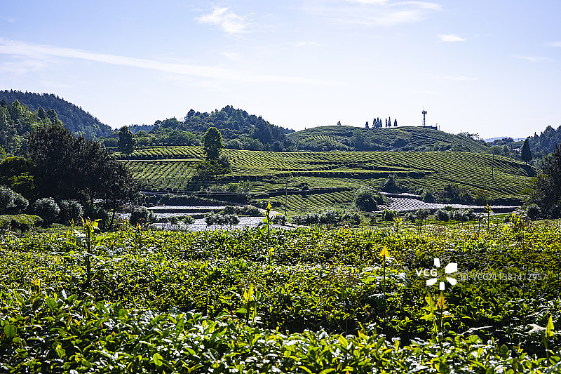 中国贵州贵阳市开阳县云山茶海风景区2022年5月2日图片素材