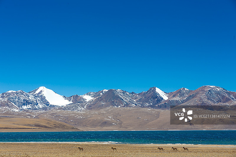 西藏阿里图片素材