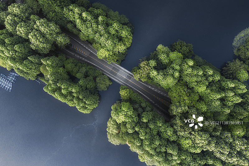 醉爱杨公堤，春天的清晨用无人机航拍杭州西湖的杨公堤图片素材