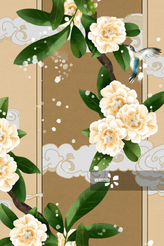 中国风花卉木香花蜂鸟插画背景-GIF动图图片素材