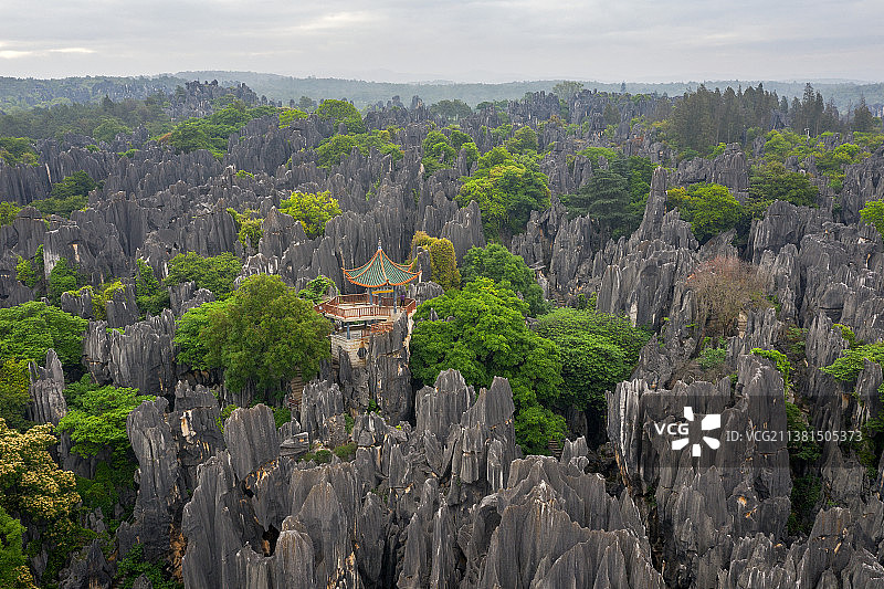 石林风景区   石林胜境    望峰亭图片素材
