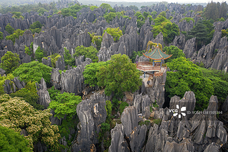 石林风景区   石林胜境    望峰亭图片素材