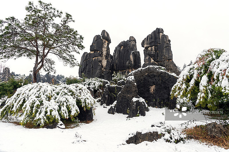 石林风景区  雪景图片素材