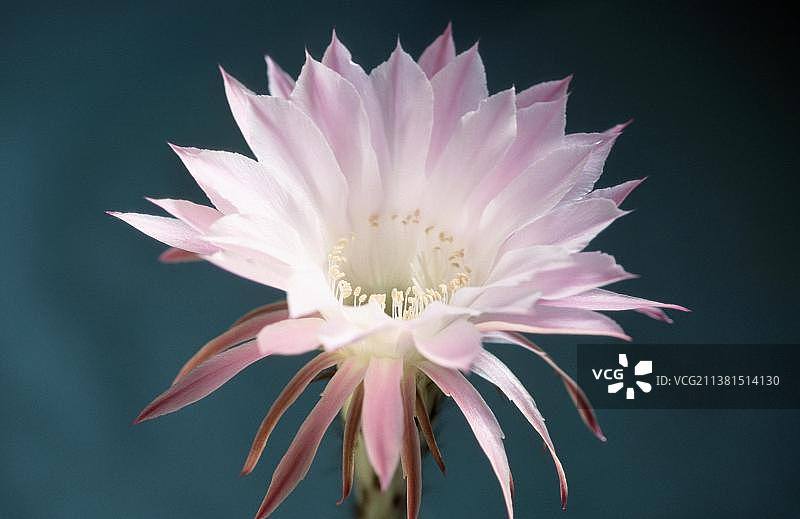 量天尺图片素材