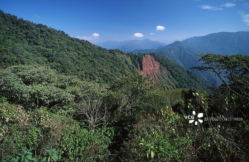 热带雨林，联合国教科文组织云加斯生物圈，卡利莱瓜国家公园，萨尔塔省，阿根廷，南美洲图片素材