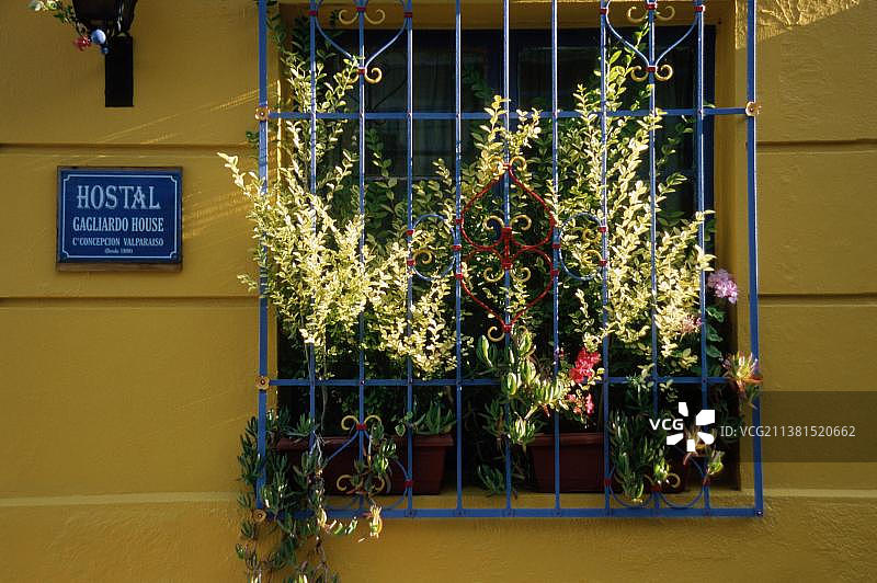 带有栏杆和鲜花的窗户，智利瓦尔帕莱索康塞普西翁山图片素材