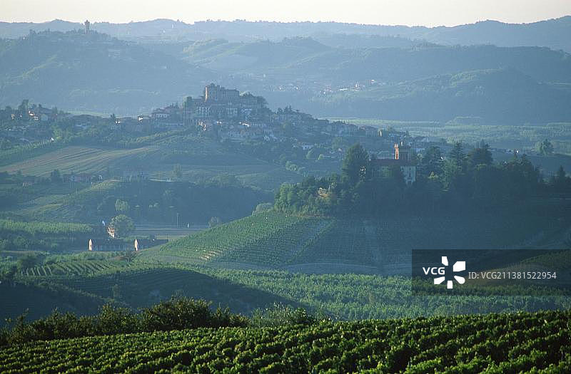 意大利皮埃蒙特朗格葡萄酒产区葡萄园图片素材