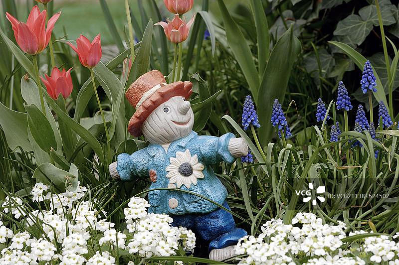 花园雕塑、郁金香和葡萄风信子图片素材