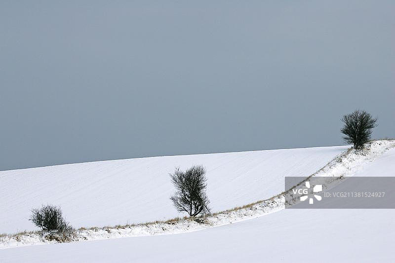 冬季的田野，菲英岛，丹麦，欧洲图片素材