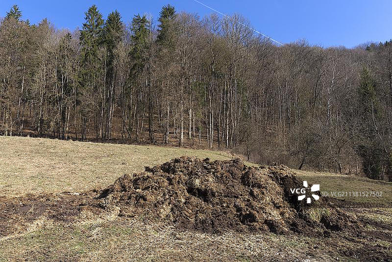 草地上的粪堆，德国巴伐利亚弗兰肯尼亚图片素材