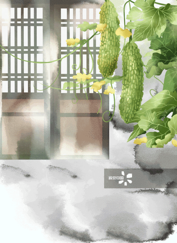 中国风院子苦瓜背景-GIF动图图片素材