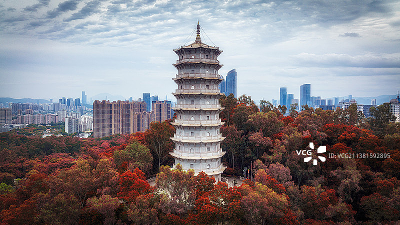 深圳园博园福塔图片素材