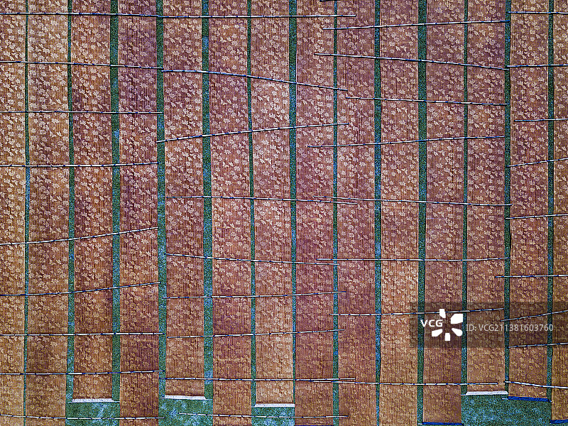 香云纱晒莨图片素材