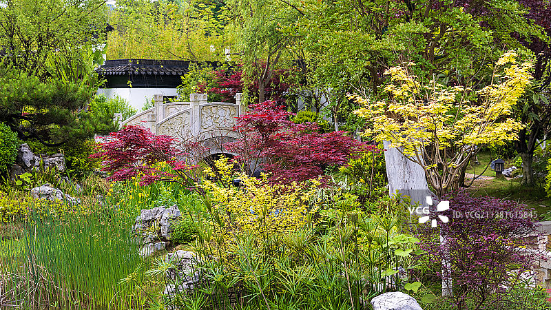 春天的都匀绿博园图片素材