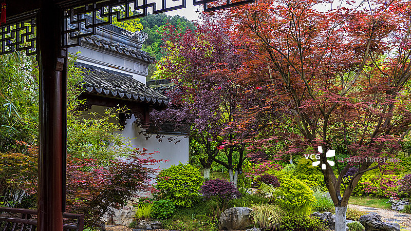 春天的都匀绿博园图片素材