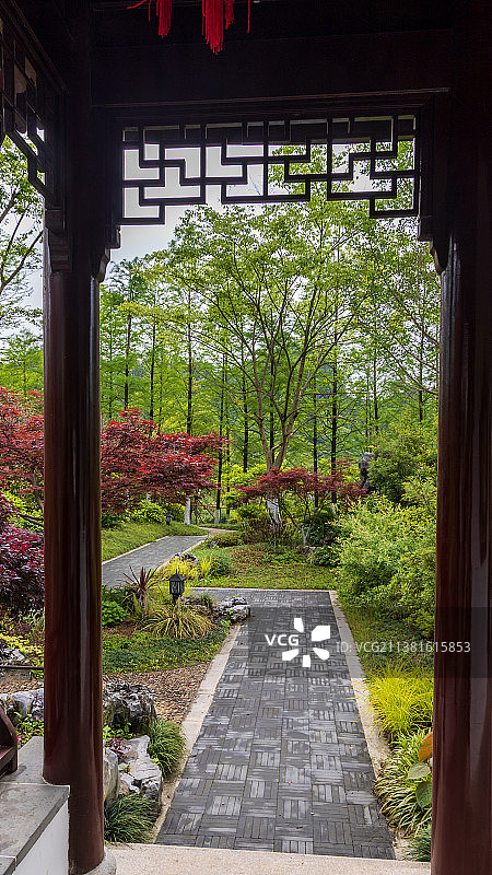 春天的都匀绿博园图片素材