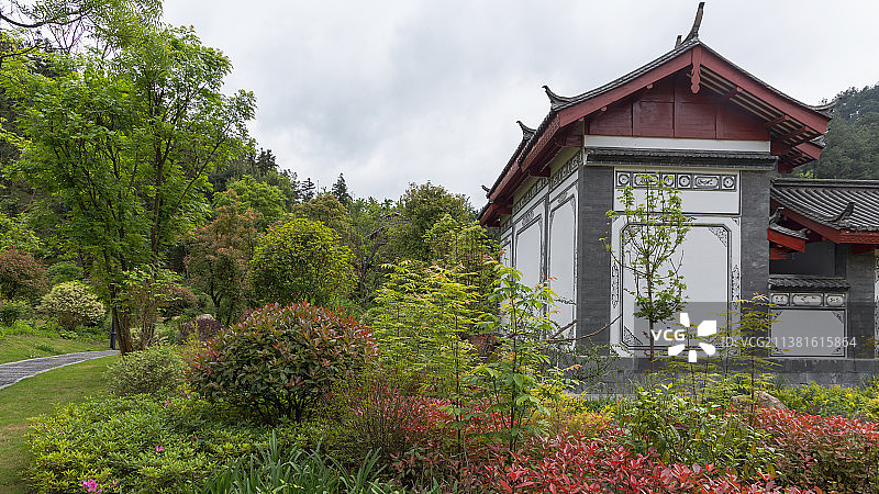春天的都匀绿博园图片素材