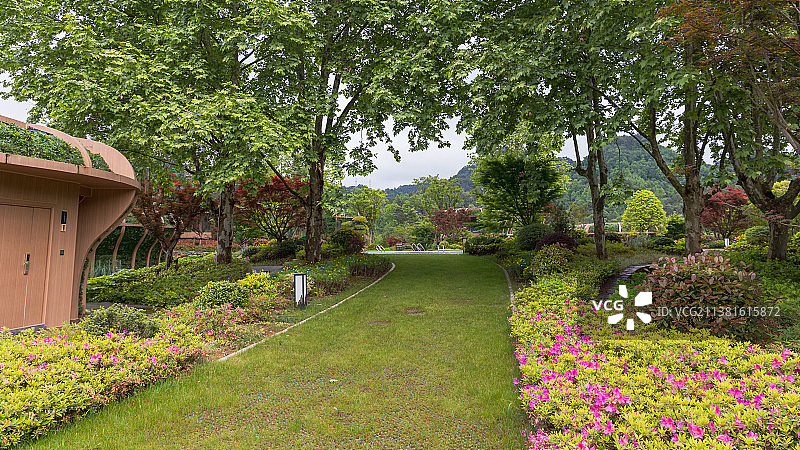 春天的都匀绿博园图片素材