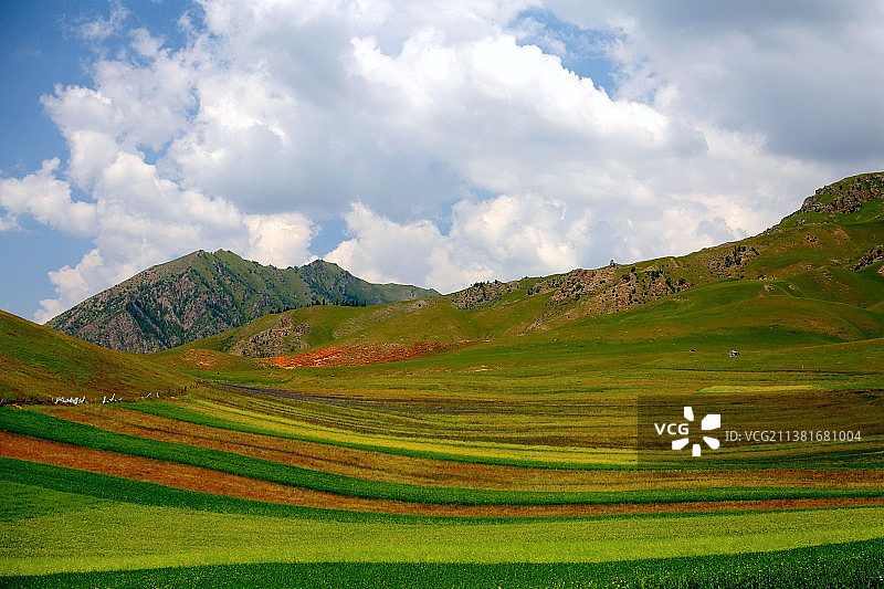 祁连山，天苍苍，野茫茫图片素材