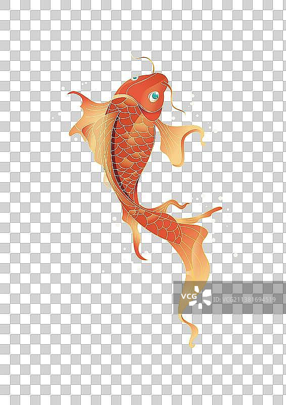 鲤鱼锦鲤图片素材