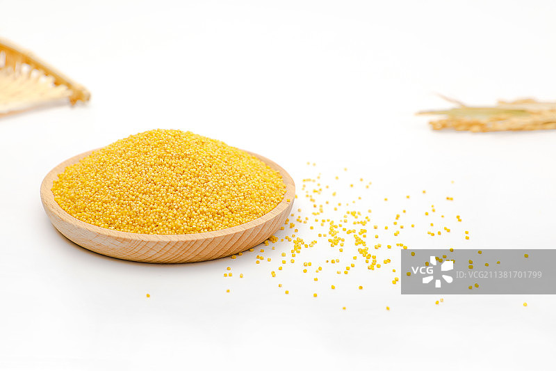 白背景下的有机金色干小米 粟图片素材