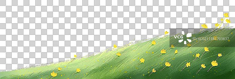 绿色野花盛开的草地图片素材