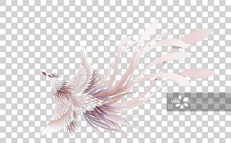 神兽凤凰图片素材