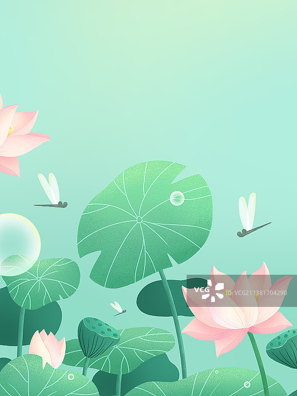 荷花池竖图图片素材