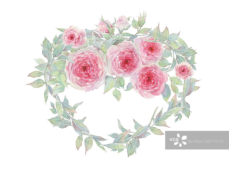 水彩手绘白色背景上粉红色蔷薇环的特写镜头图片素材
