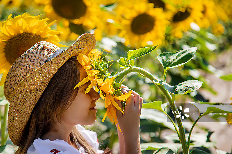 向日葵田中身穿刺绣衬衫的儿童图片素材
