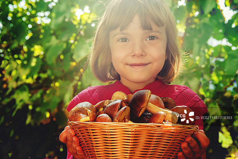 孩子手中的森林蘑菇，选择性聚焦图片素材