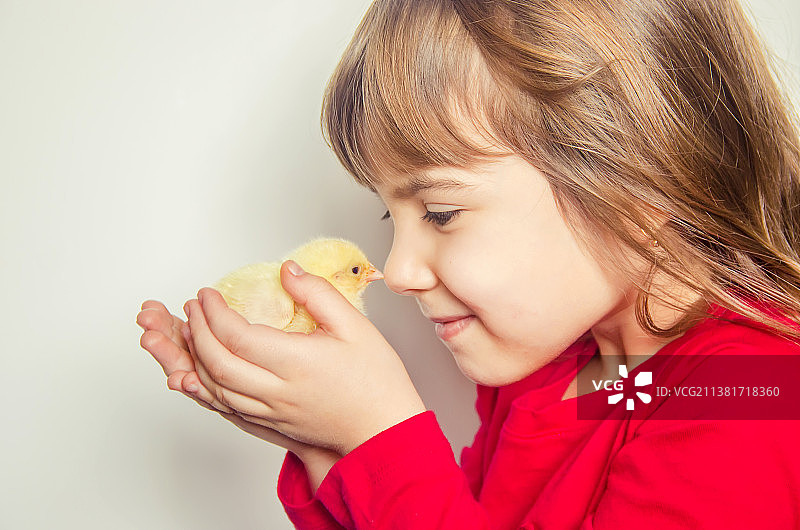 儿童手中拿着一只小鸡图片素材