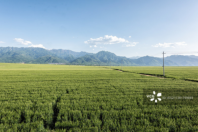 陕西西安长安区南江兆村夏天的麦田与终南山图片素材