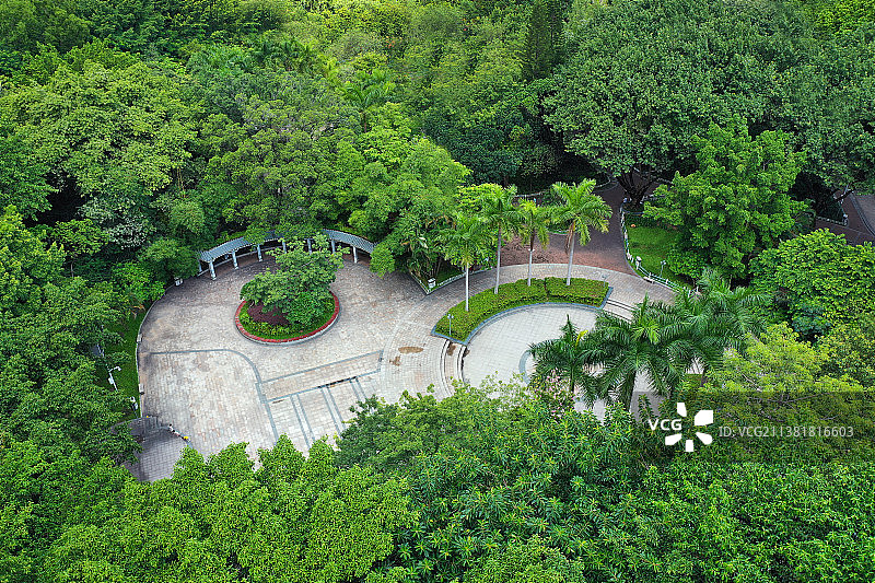 广东省深圳市龙华区龙华公园航拍图片素材