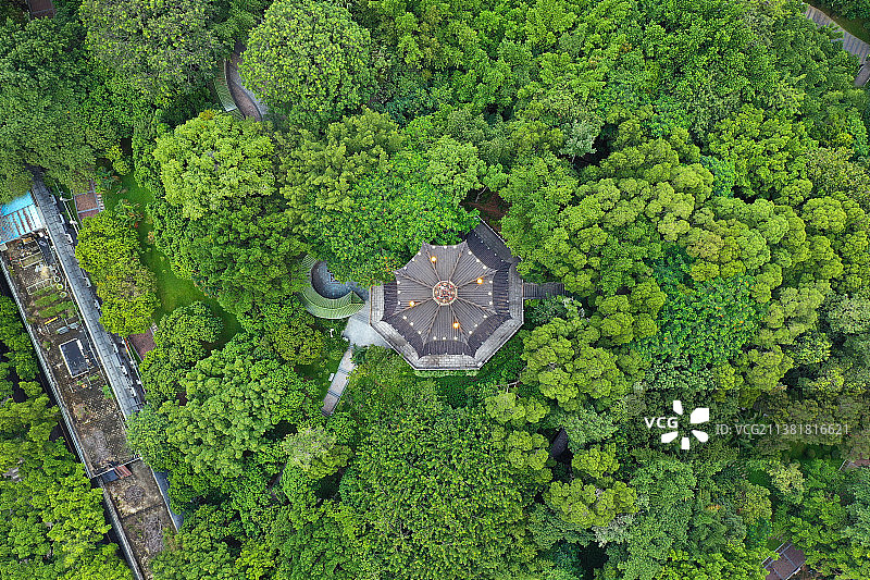 广东省深圳市龙华区龙华公园航拍图片素材
