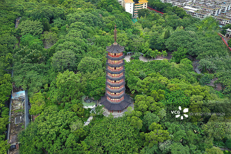 广东省深圳市龙华区龙华公园航拍图片素材